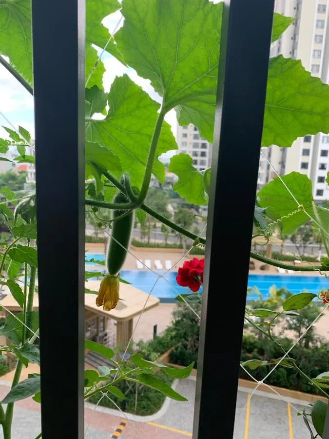 Bin'S House Apartment Ho Chi Minh City 0*,  Vietnam